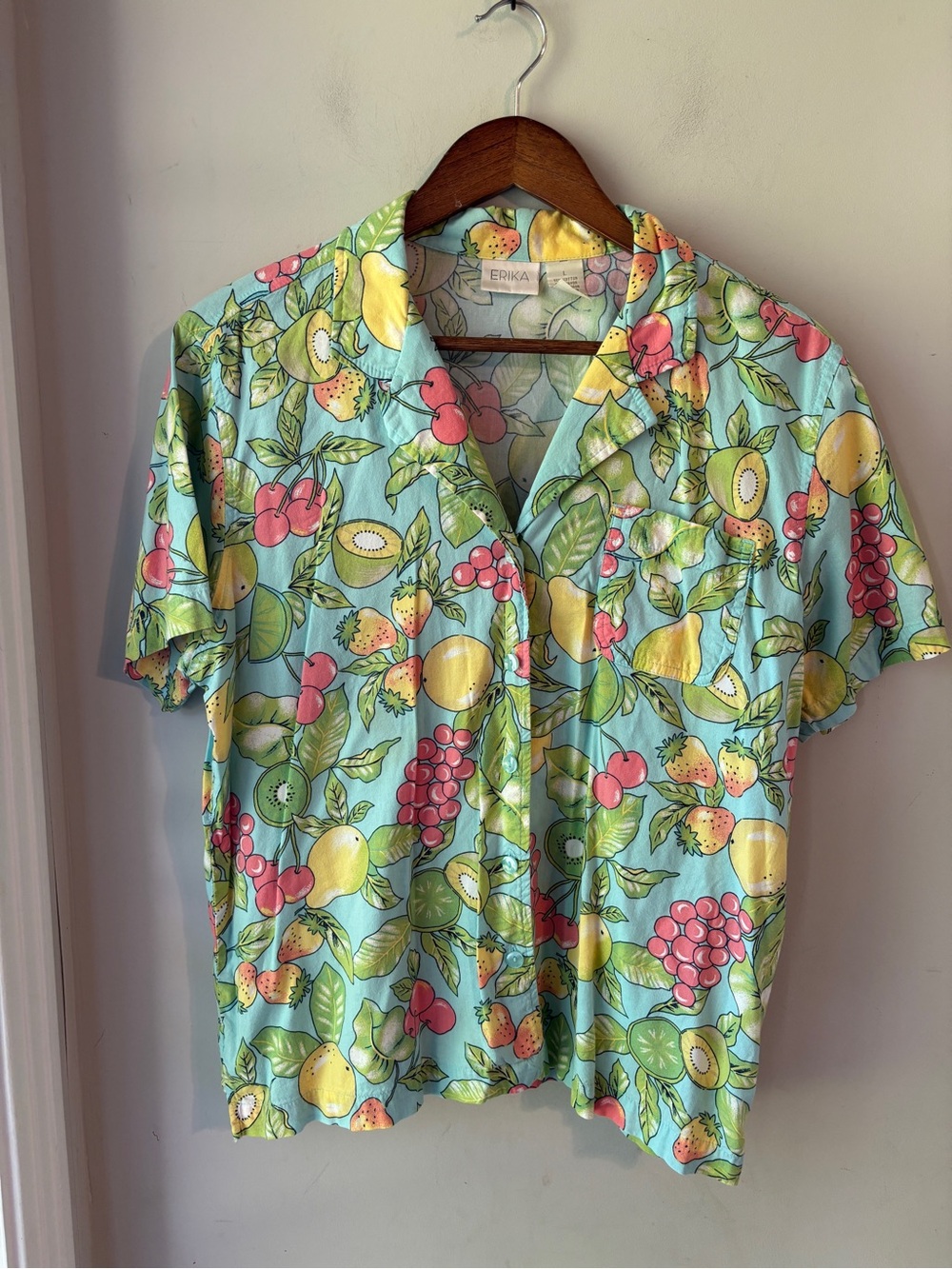 Erika Vintage Multicolor Fruit Print Button Up Large